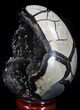 Septarian Dragon Egg Geode - Crystal Filled #37371-1